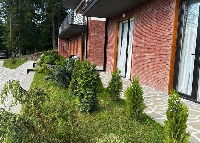 Apart Hotel Falkon Bakuriani