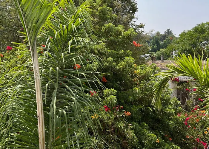 Studio De Charme Renove - Fibre- Centre Rabat