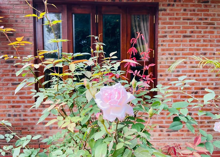 Ninh Binh Friendly Homestay