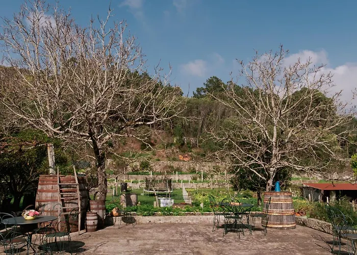 Villa Quinta Da Quinhas Vila Praia de Âncora