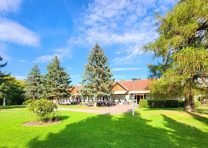 Harz Hotel Vogelberg Blankenburg 