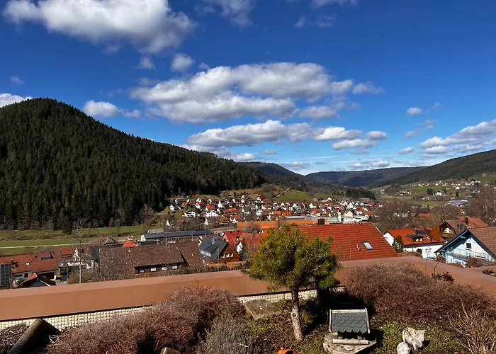 Ferienwohnung Schwarzwaldausblick - Umweltfreundlich & Pool Baiersbronn
