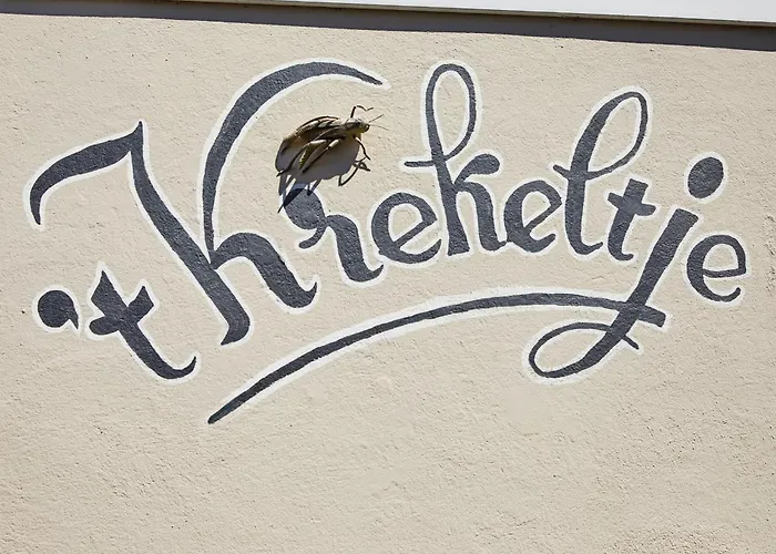 Ferienwohnung Het Krekeltje Zandvoort