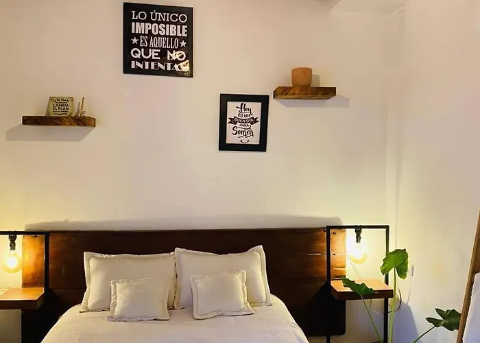 Apartamento Moderno Pardo 1945 Mompos