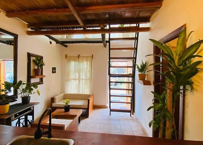 Apartamento Moderno Pardo 1945 Mompos
