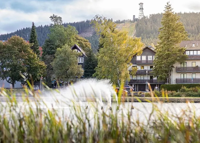 Villa Hexenzauber Hahnenklee Goslar