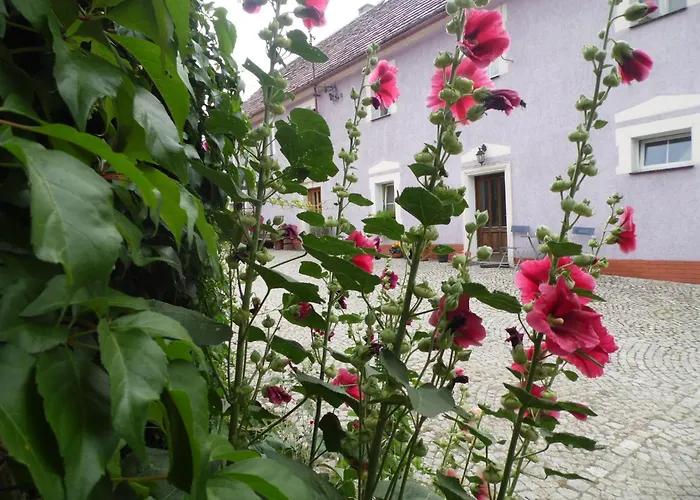 Agroturystyka Leszczynki Löschney