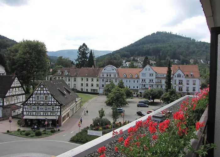 Hotel Harzer am Kurpark Bad Herrenalb