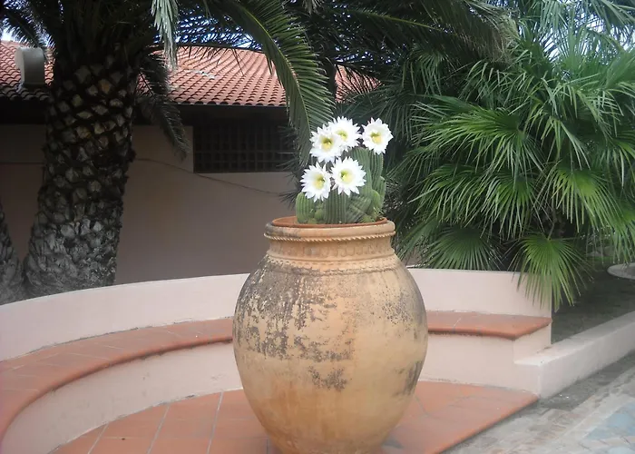 Hotel Villaggio Cala Di Volpe Capo Vaticano