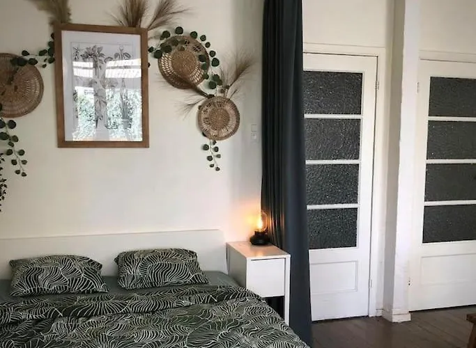 Studio Zeezucht Blankenberge