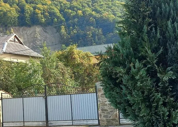 Zelena Sadyba Bila Stavka Jaremtsche