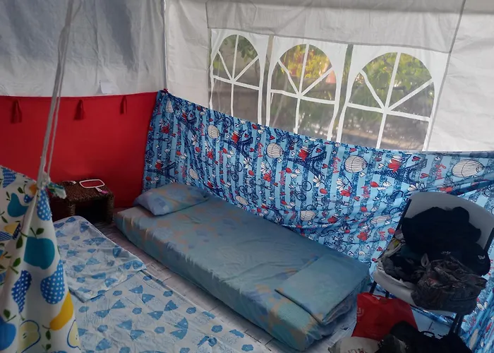 Voluntary & Camping Cozumel