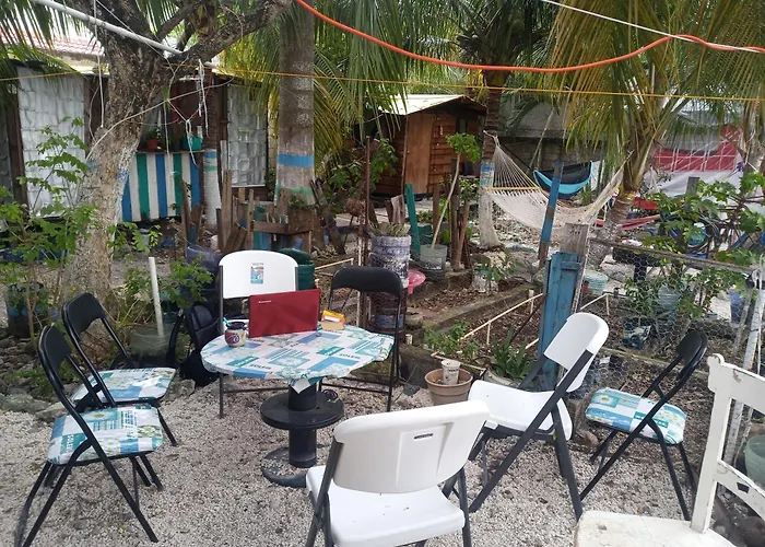 Voluntary & Camping Cozumel