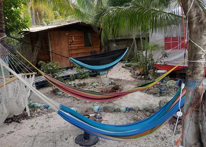 Voluntary & Camping Cozumel