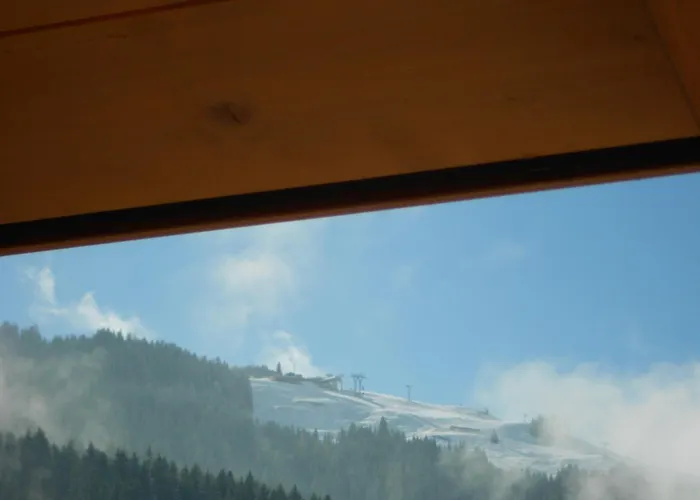 Appartement Haus Petra Leogang