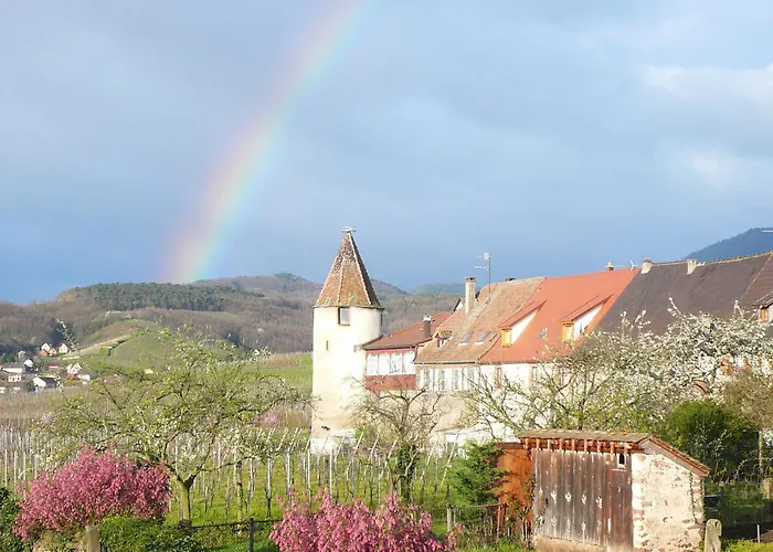 Hotel Munsch Restaurant&Wellness, Colmar Nord - Haut-Koenigsbourg Saint-Hippolyte 