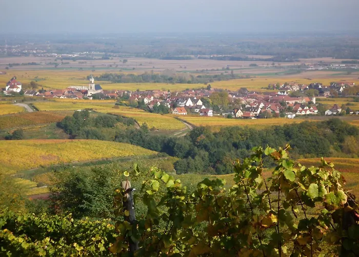 Hotel A La Vignette - Colmar-Nord Saint-Hippolyte 