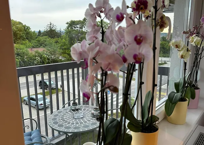 Ferienwohnung Violet Deluxe Ni