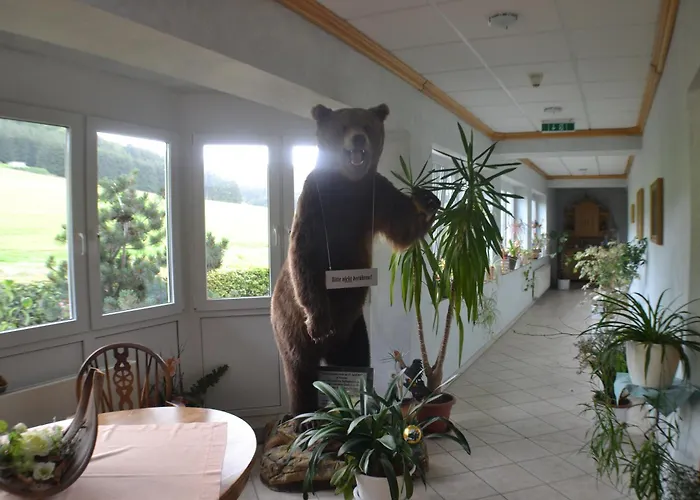 Landhotel Gasthof Wüllner Winterberg