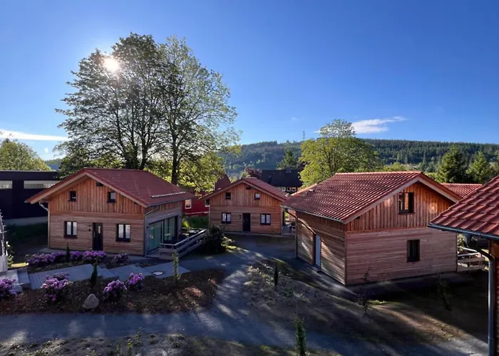 Villa Cecilienpark Oberharz Goslar