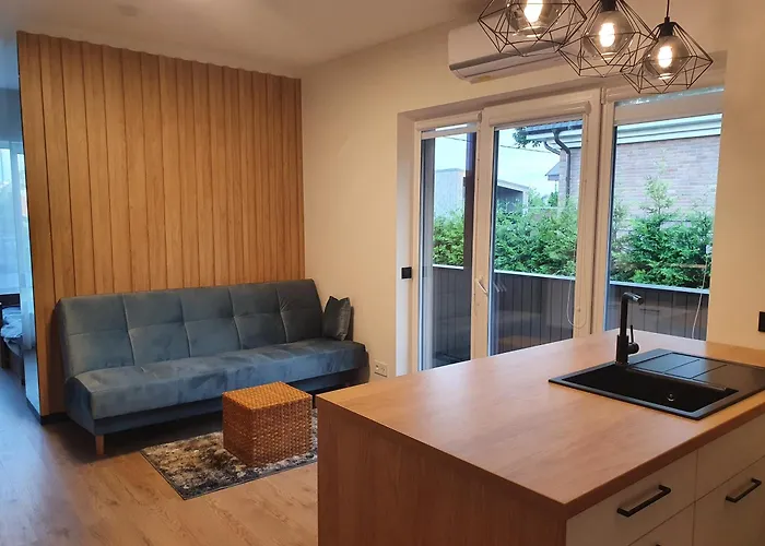 Apartment With Terrace Wilna
