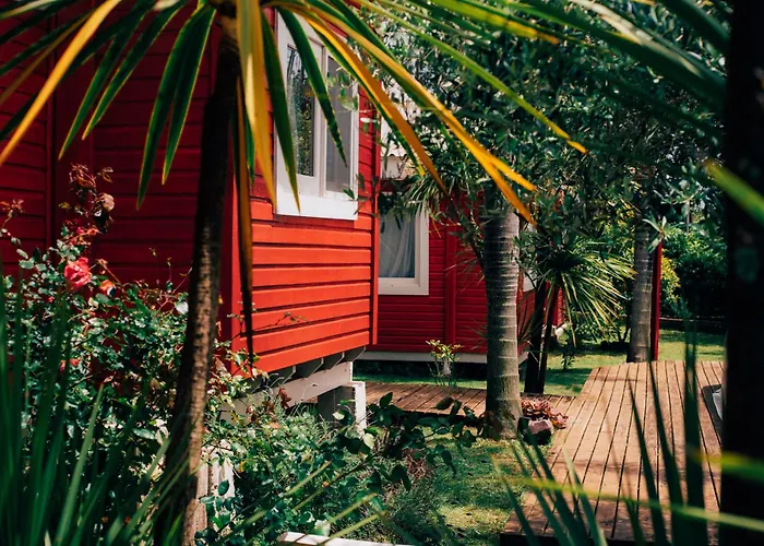 Bon Amour Punta Del Diablo