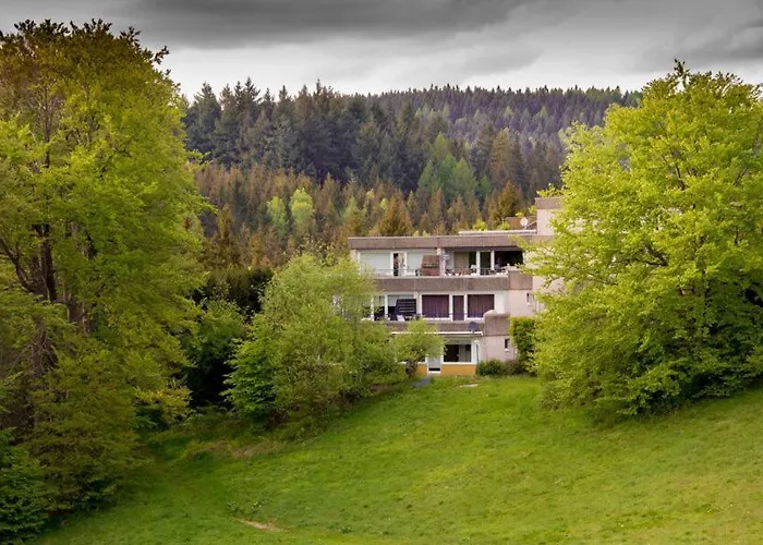 Terrassenhaus Fichtenwald im Harz mit Schwimmbad&Sauna Hohegeiß