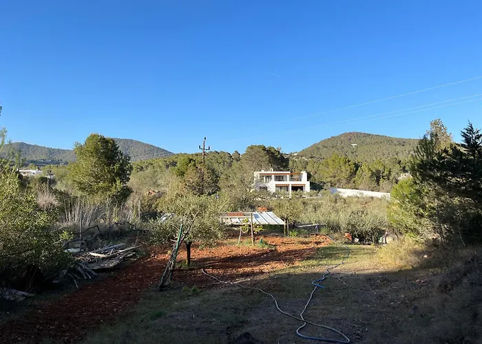 Ses Oliveres San José