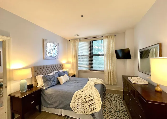 Luxury 1Bed Loft, 2 Baths, Central Air, South End Boston