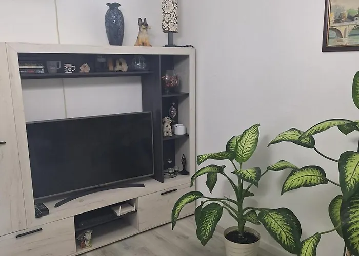 Center Apartment Budva