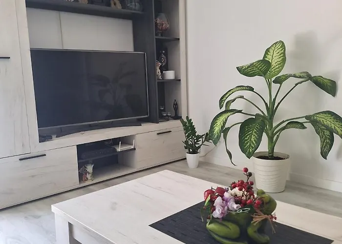 Center Apartment Budva