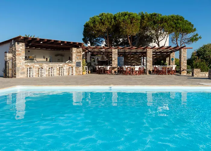 Hotel Swiss Home Naoussa
