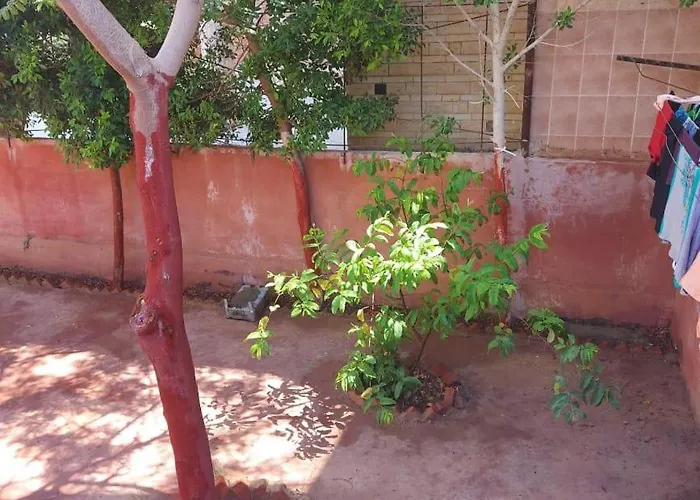 قرية ساند بيتش ب Ain Suchna
