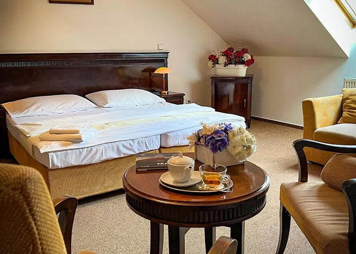 Hotel U Zeleneho Stromu Nepomuk 