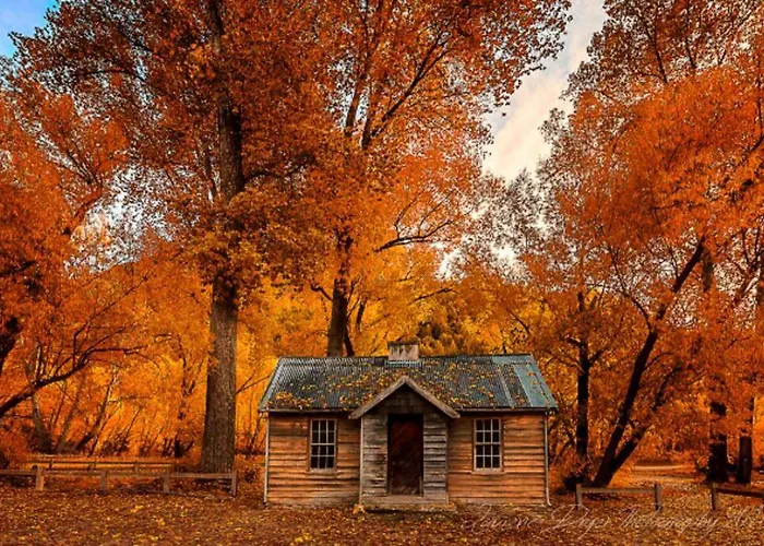 The Pines Guesthouse - New Re-List Arrowtown