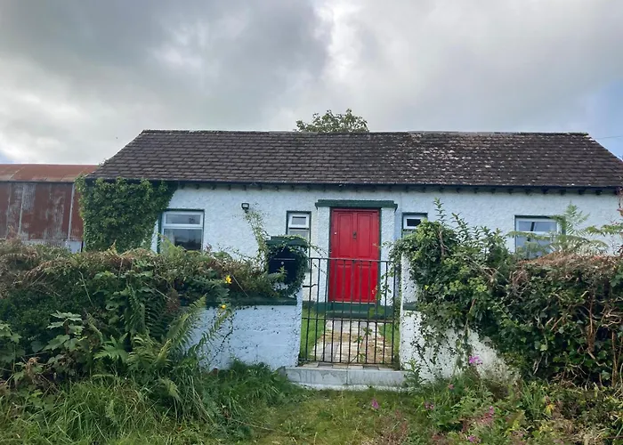 Beautiful Cosy Cottage Killashandra