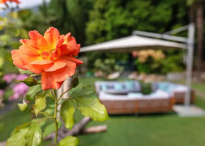 Parkhotel Brenscino Brissago TI