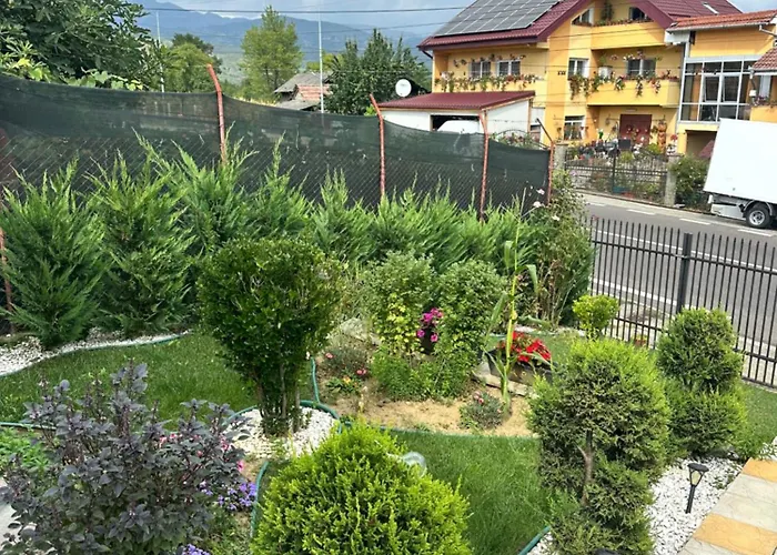 Bed and Breakfast Angela Călimăneşti
