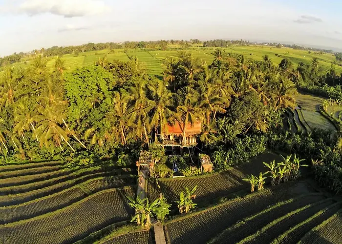 Canggu Dream Treehouse Bali