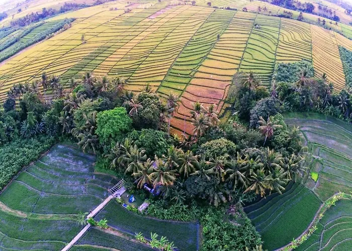 Canggu Dream Treehouse Bali