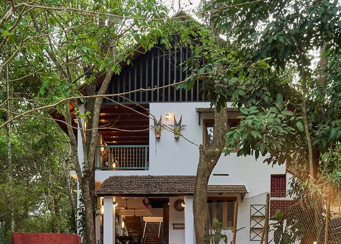 Hotel Curly Wood By Cluster Cloud Thekkady