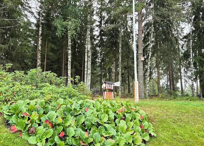 House With2 Bedroom, Bath, Sauna, And Big Yard Hyvinkää