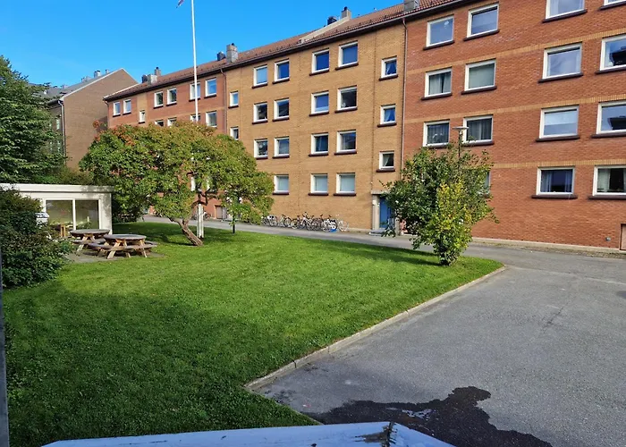 Central And Cosy Apartment In Trondheim, Free Parkingspot