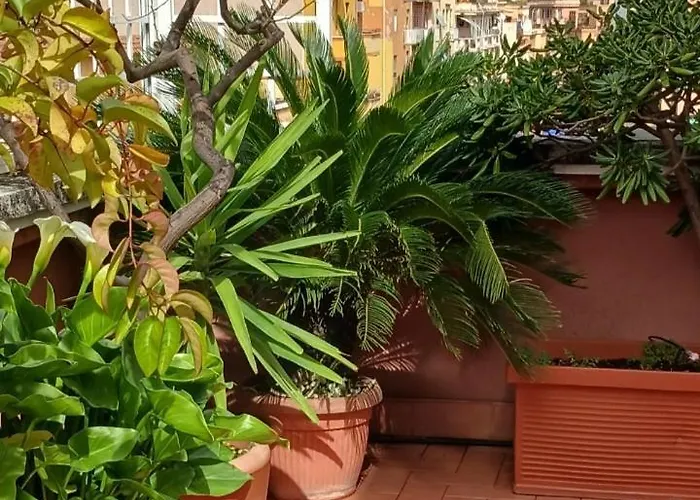 Ferienwohnung Attico Pavia Vicino Policlinico Rom