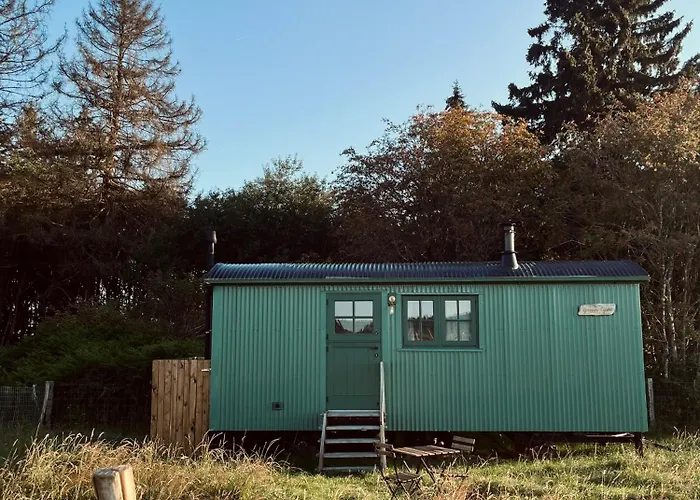 The Green Shepherd, A Charming Authentic Cabin Surrounded By Beautiful Countryside Vielsalm