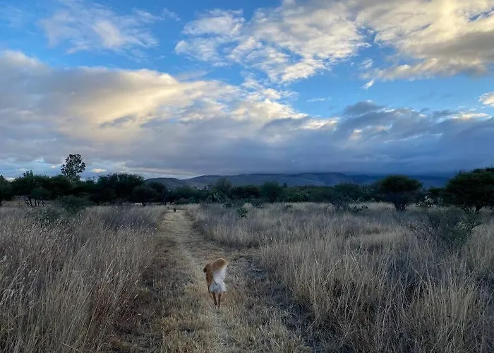 Villa Country Retreat On 14 Acres San Miguel de Allende