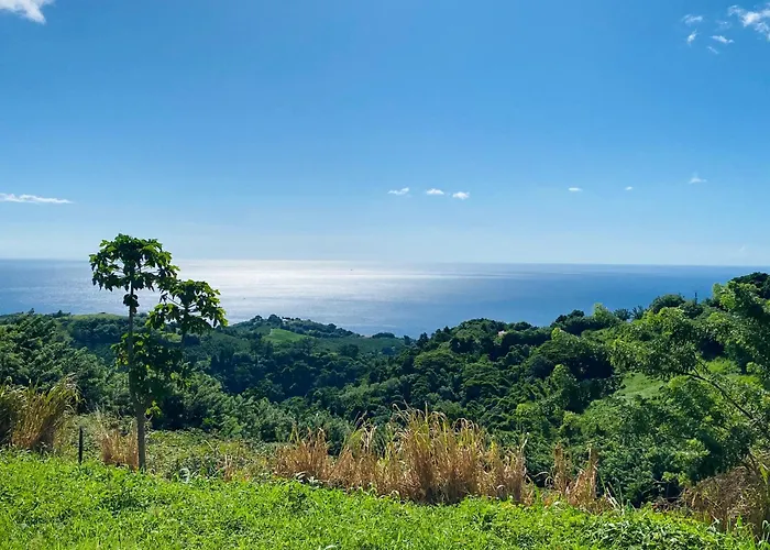 Villa Creole Vue Exceptionnelle Perle Des Hauteurs Le Carbet