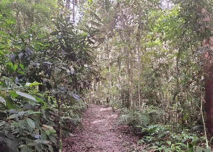 Sinta-Se Em Casa Com Diversao! São Paulo