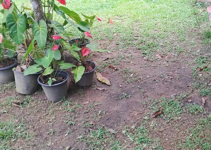 Dg Villa Weligama