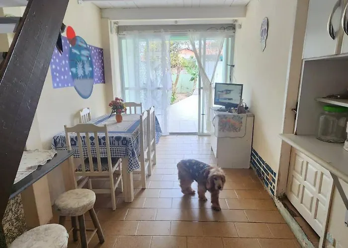 Alquilo Casa Para Temporada Nos Ingleses Florianópolis